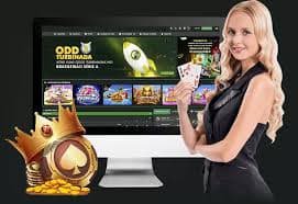 Pengalaman bermain sportsbook dan live casino interaktif di rajabadak, platform terbaik Indonesia
